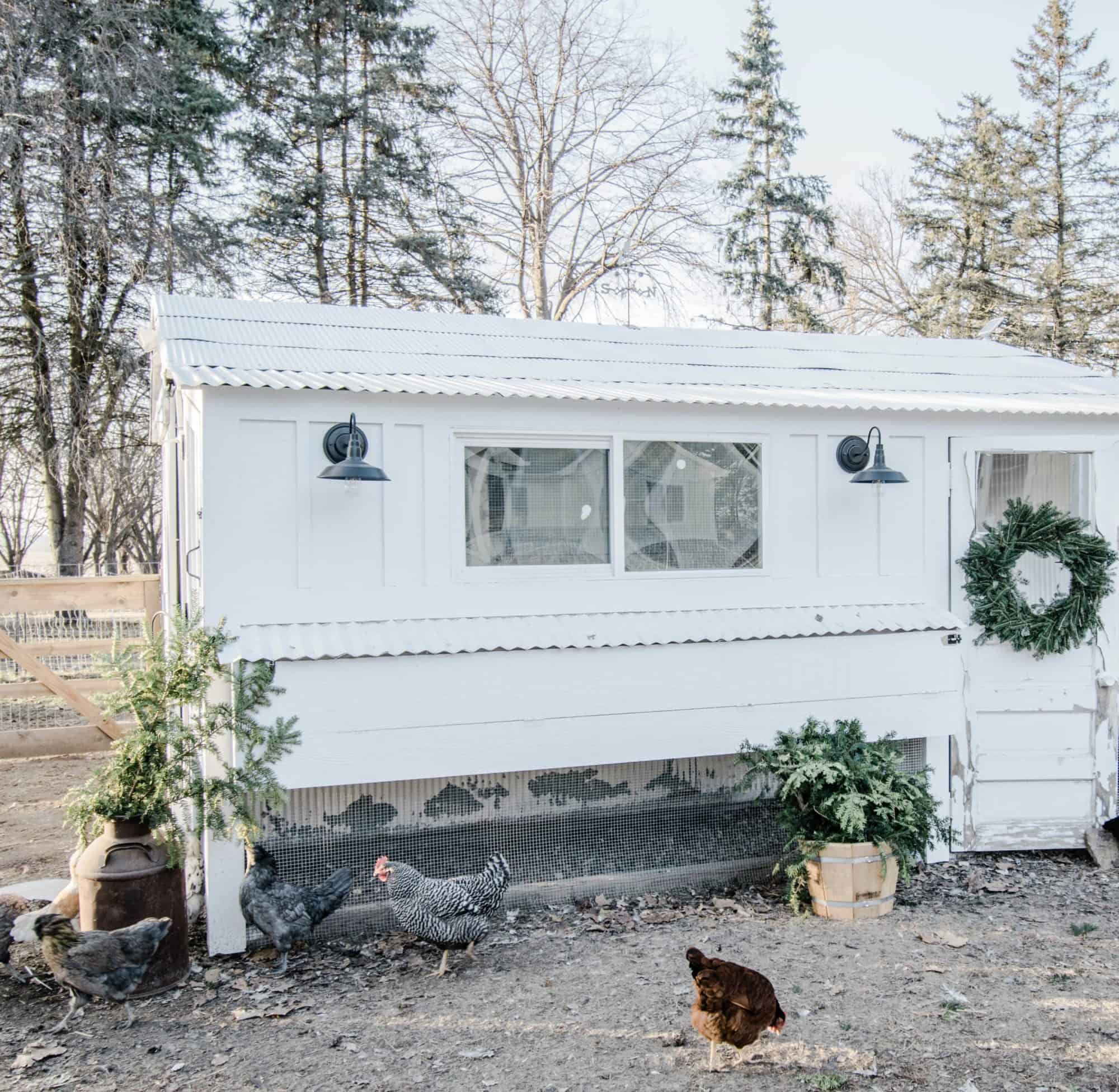 Chicken coop Christmas decorating ideas