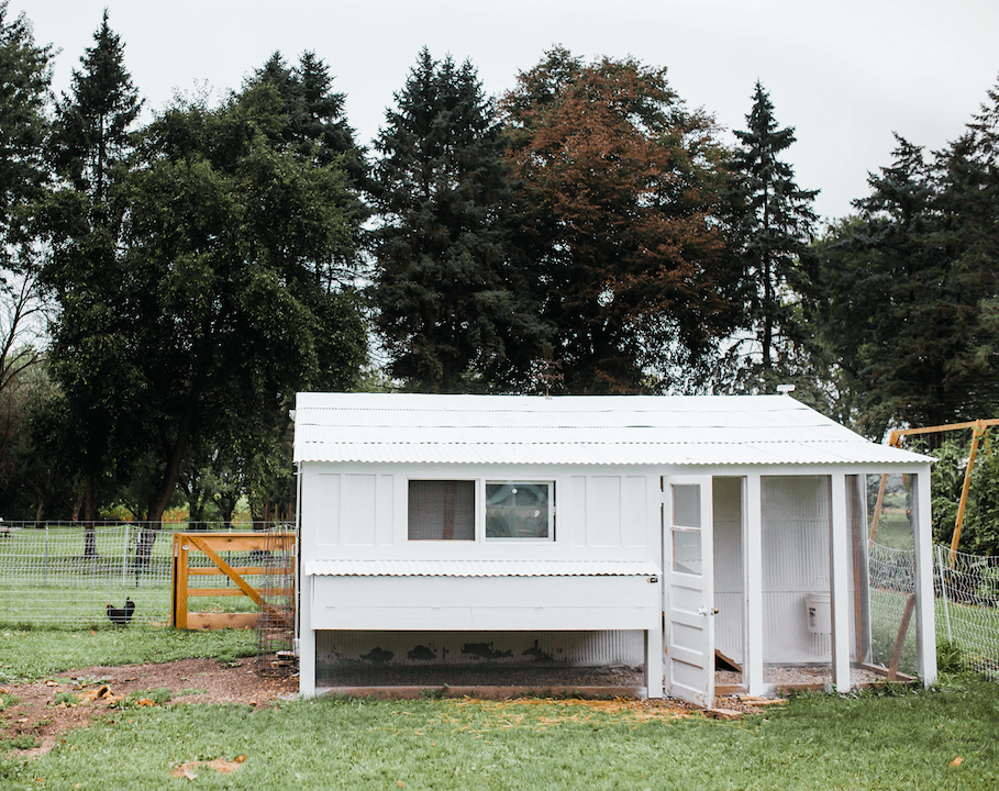 Frenchie Farm homesteading on a small property