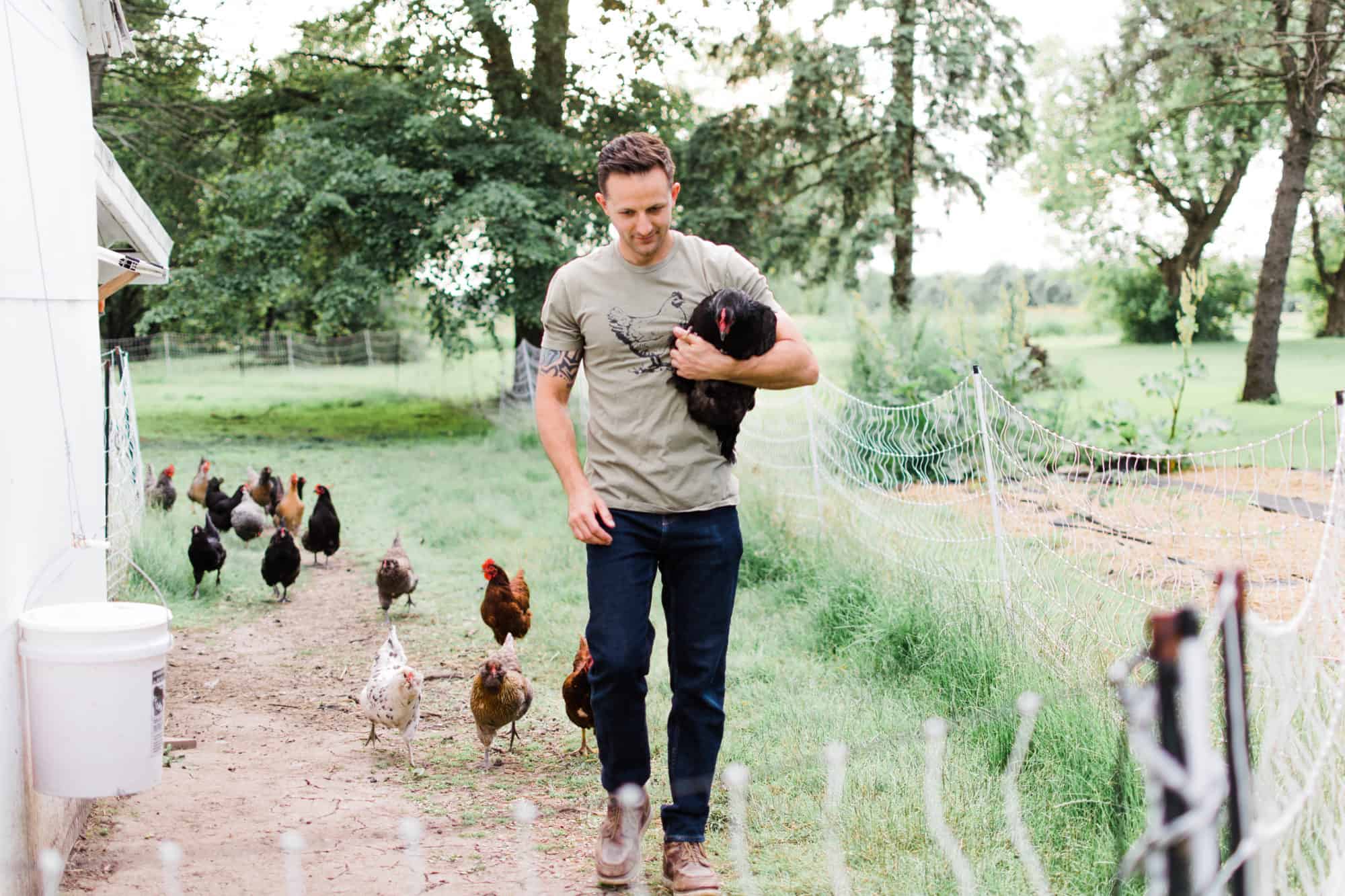 Frenchie Farm how to choose a chicken breed