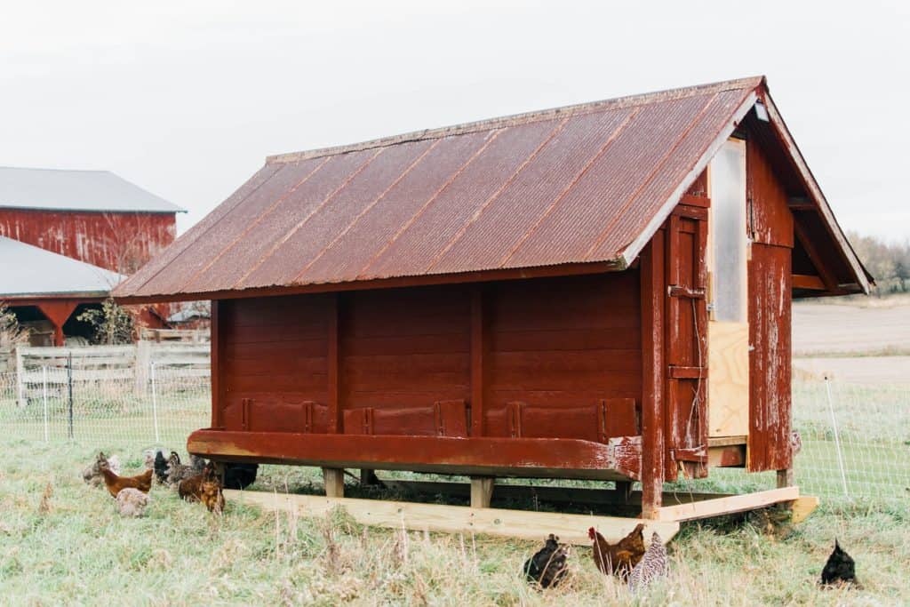 Frenchie Farm Tips for building a chicken coop